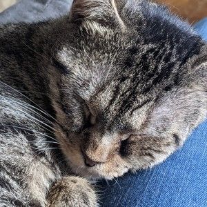 Meet your Posher, Posh